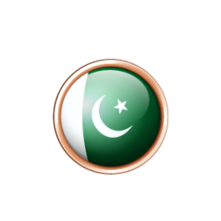 الغة الأردية